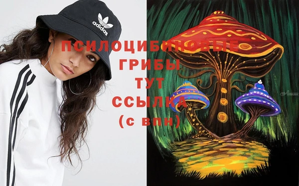 дживик Алексеевка
