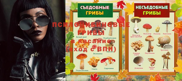 дживик Алексеевка